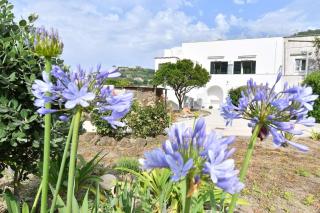 Casa Lucia - Ischia - 9