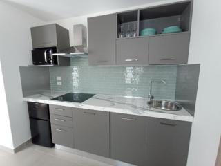 Luxury Apartment with balcony garden view - 2