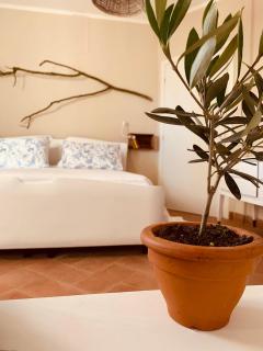 La casa nei campi - Badia Pavese - 3