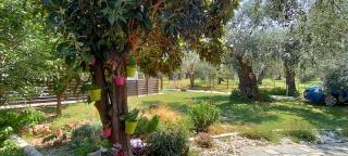 Chrisella Villa - Skala Rachoniou - 6