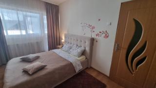 Park Residence Slănic Moldova - Slănic-Moldova - 4