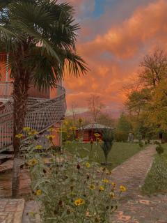 Matua guest house - Jvari - 7