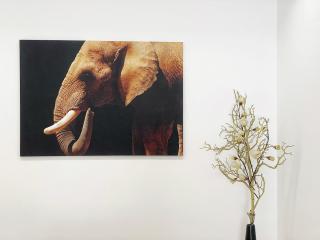Dreamy Alameda Apartment - Lissabon - 7