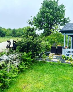 Rockschapel Cabin 30B - 8