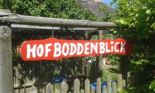 Hofboddenblick - Kückenshagen - 4