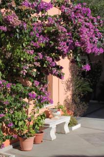 Rooms with a parking space Trsteno, Dubrovnik - 8595 - 3