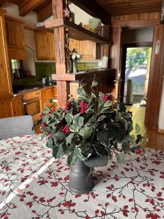 Chalet Blanc "Coeur Sapin" - Courmayeur - 5
