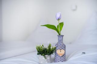 SOVA Guesthouse - 2