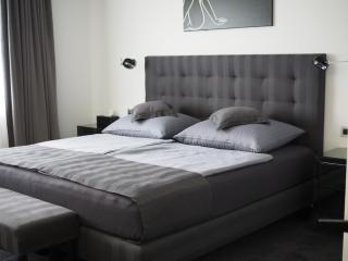 Apartman Grey - Prague - 0