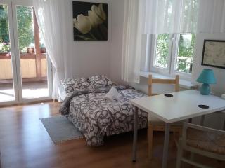VINTAGE - ROSE Apartament - Toruń - 5
