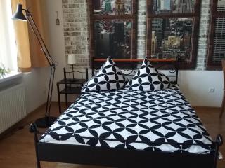 VINTAGE - ROSE Apartament - Toruń - 6