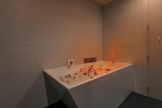 Penthouse Premier - Auckland - 7