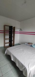 Le petit cactus 1 - Bras-Panon - 2