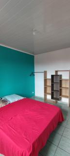 Le petit cactus 1 - Bras-Panon - 1