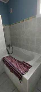 Le petit cactus 1 - Bras-Panon - 7