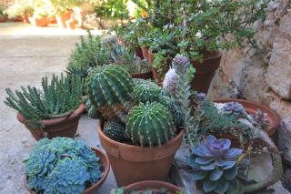 Seaside holiday house Vis - 8902 - 3