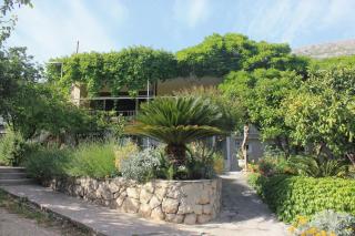Apartments with a parking space Mlini, Dubrovnik - 8985 - 0