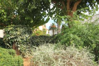 Apartments by the sea Vis - 1170 - Vis - 3