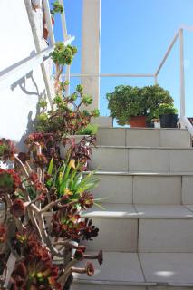 Apartments with a parking space Vis - 8883 - 3