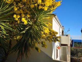 Apartments with parking space Rukavac, Vis - 8897 - 9