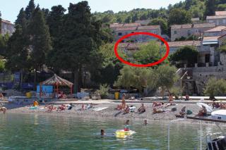Apartments by the sea Korcula - 9132 - 0