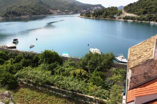 Rooms by the sea Zaton Mali (Dubrovnik) - 8997 - Zaton - 4