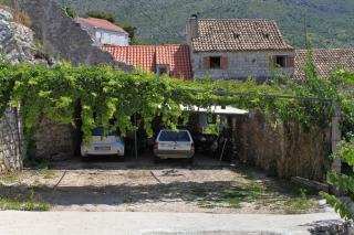 Rooms by the sea Zaton Mali (Dubrovnik) - 8997 - Zaton - 1