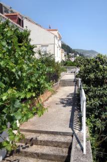 Apartments with a parking space Dubrovnik - 9099 - Dubrovnik - 2