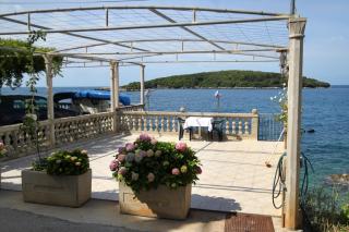 Apartments and rooms by the sea Molunat, Dubrovnik - 8964 - 3