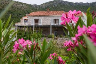 Apartments with a parking space Brsecine, Dubrovnik - 9098 - Brsečine - 9