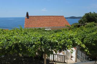 Apartments with a parking space Vrbica, Dubrovnik - 9008 - 0