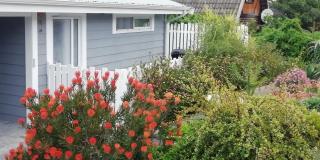 Shells Corner Cottage - Knysna - 9