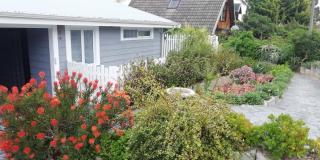 Shells Corner Cottage - 6