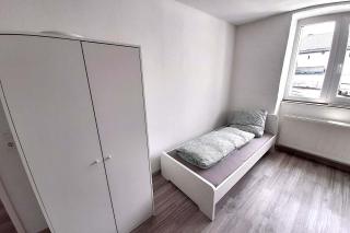 Spacious Work & Stay Apartments Büdesheim - Büdesheim - 9