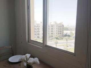 Cozy 1BR Apartment close to Dragon Market and Global Village - 5