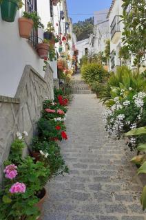 Casa de las Flores - a picture perfect location! - El Gastor - 4