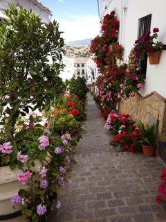 Casa de las Flores - a picture perfect location! - El Gastor - 0