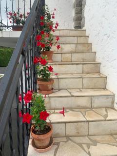 A louer appartement dans une maison - Arcangues - 4