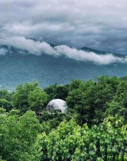 Elsesi Racha Glamping - Ambrolauri - 1