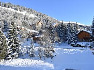 Appartement 2 Pièces, Cabine, Balcon, Près des Pistes, 6 Pers - FR-1-180-95 - 4