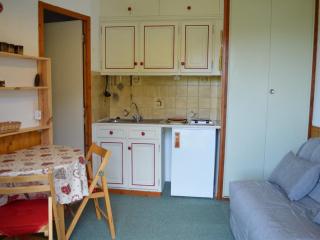 Charmant Studio Montchavin - Terrasse, Proche Pistes et Commerces, Parking Gratuit - FR-1-329-57 - 9