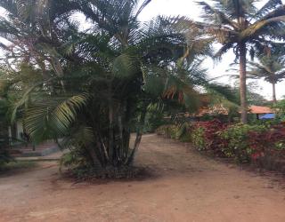 Hasiru Farms Homestay by StayApart - Mudigere - 9