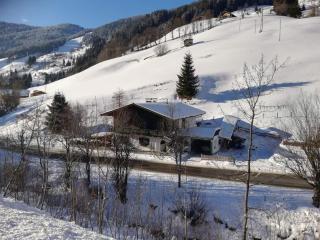 Apartment in Dienten near Gabühel Ski Lift - 4