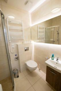 Standard Apartment by Hi5 - Sofie's Suite - Budapest - 6