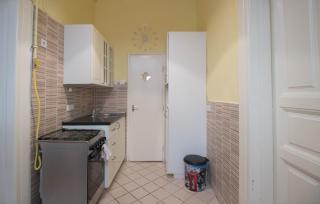 Standard Apartment by Hi5 - Sofie's Suite - Budapest - 4