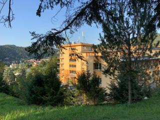 KORONA Sanatorium Uzdrowiskowe - Muszyna - 8