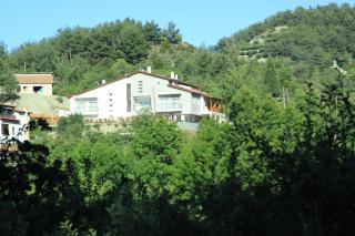 Livadia Hotel Kyperounta - Kyperounda - 5