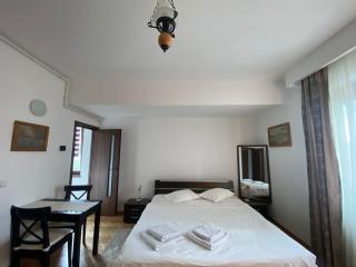 Dinamic Studio Old Town - Bucharest - 5