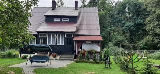 Domek - Leśna Kryjówka - Promnik - 0
