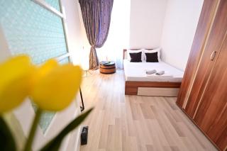 Tulip Central Apartments - Sibiu - 3